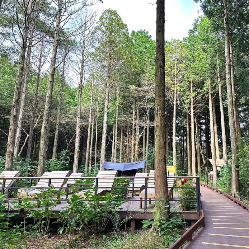 제주도 서귀포자연휴양림 야영장 캠핑 예약