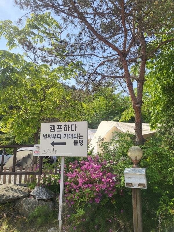 홍천 캠프하다 어린이날 캠핑