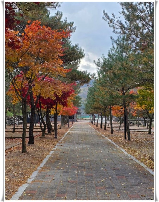 홍천캠핑장 J캠핑장 자연속에서 힐링하고 왔어요