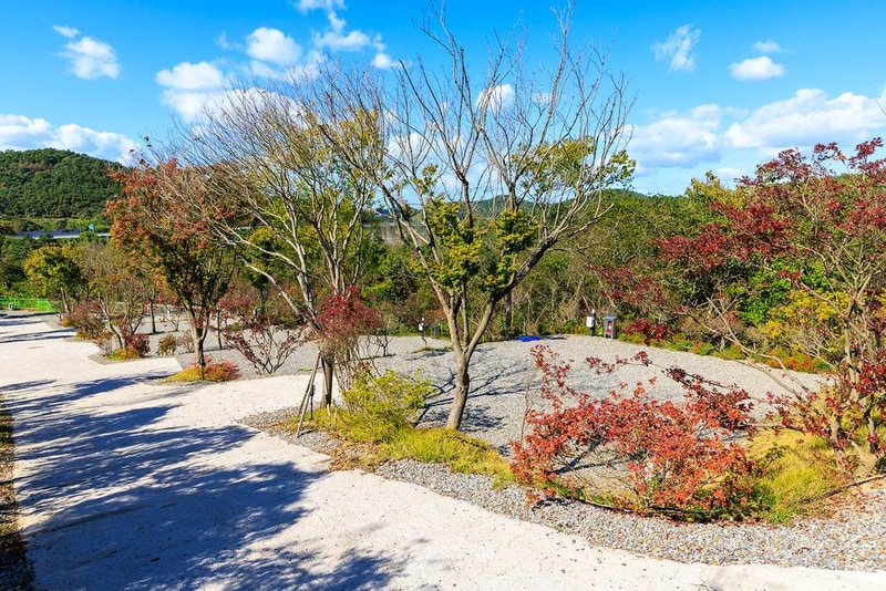 노을숲캠핑장 시설 사진 11