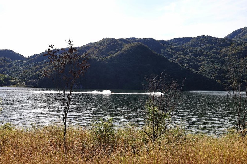 리버위드 글램핑 시설 사진 22