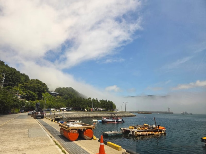 204번째캠핑 - 거제 구조라항캠핑장