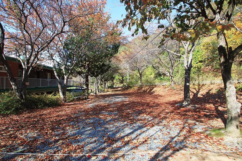 산장펜션 캠핑장 시설 사진 9