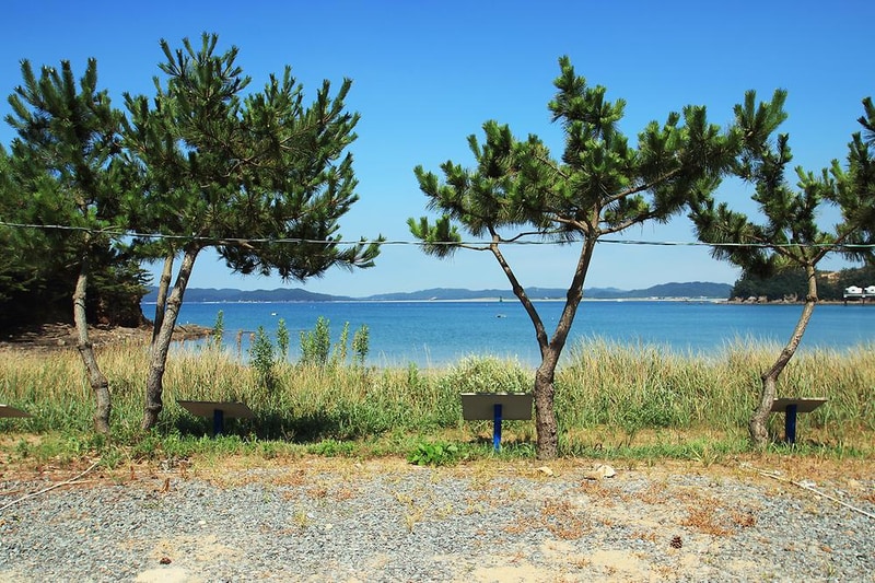 이태백 야영장 시설 사진 10