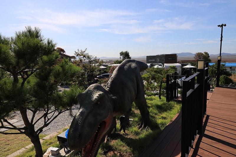 쥬라기 카라반 시설 사진 13