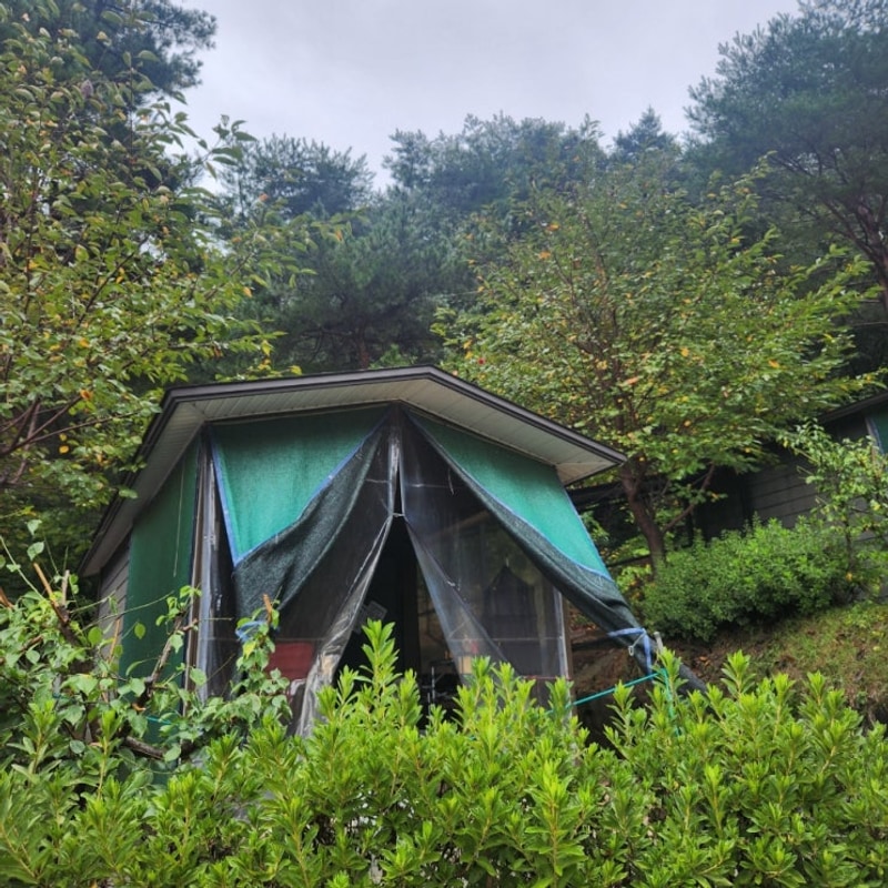 합천 수피아 캠핑 방갈로 후기 비오는날엔 방갈로가 좋아요