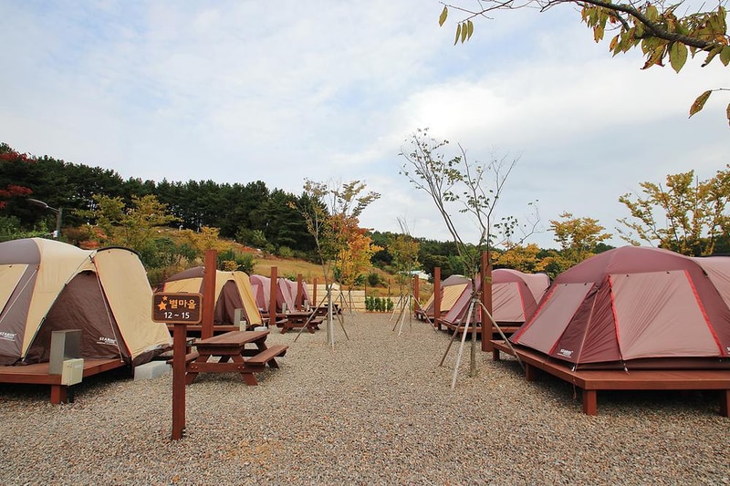 서천 금빛노을 서울캠핑장 시설 사진 2