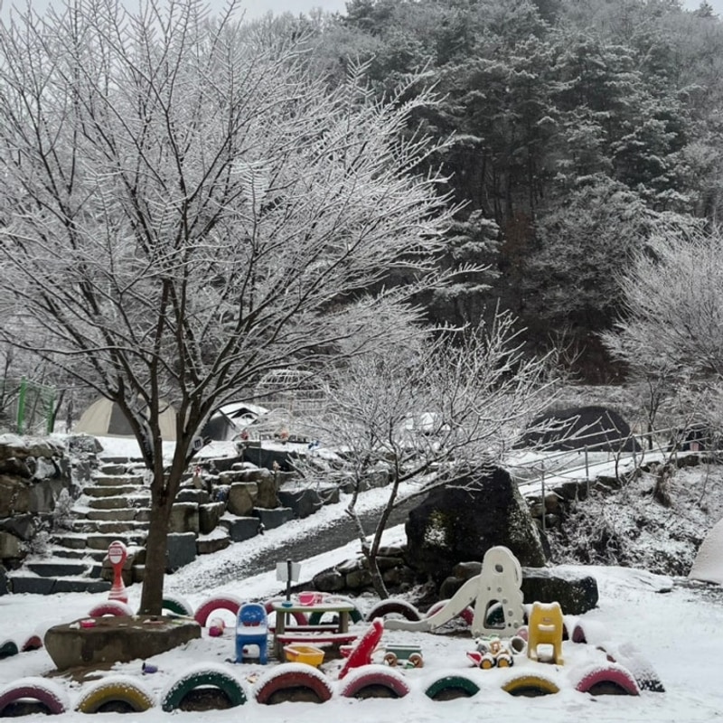 경북 키즈캠핑장 김천 누리별캠핑장 C6 미니카대회