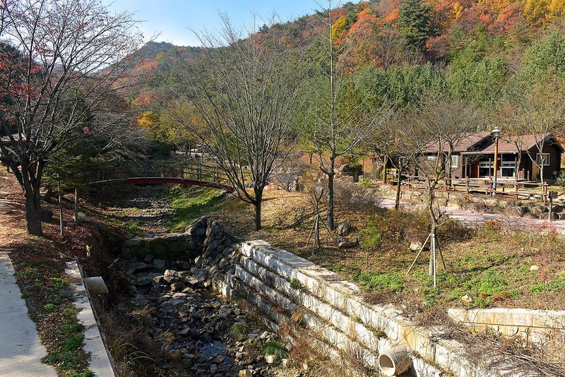 불정 자연휴양림 시설 사진 4