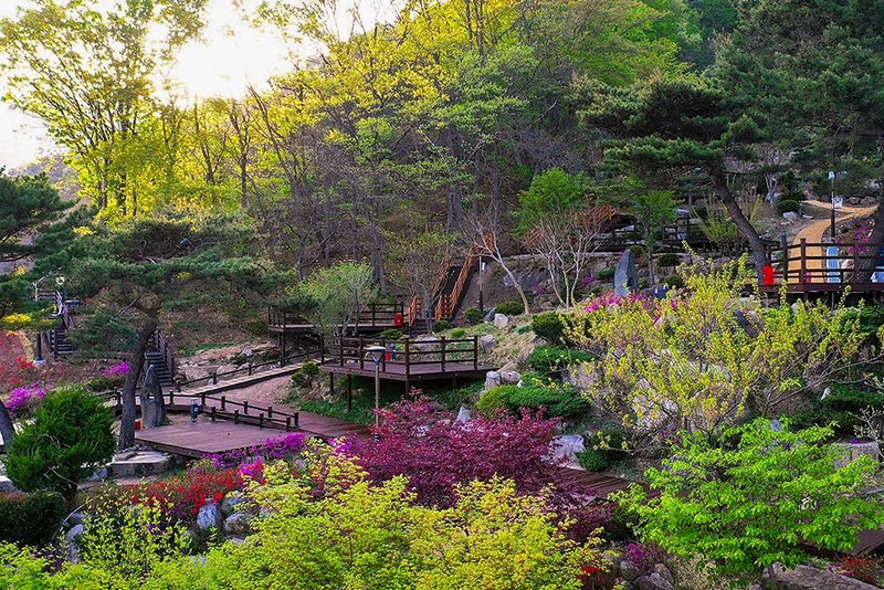 팔공산국립공원 갓바위야영장 시설 사진 10