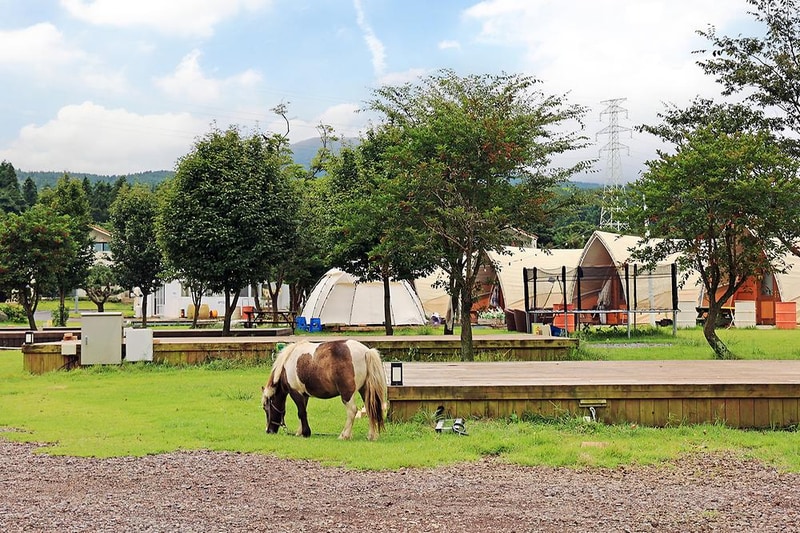 녹고뫼캠핑장 관광농원 시설 사진 33