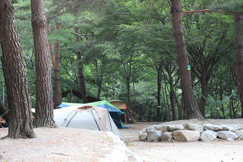 폭포 캠핑 야영장 시설 사진 21