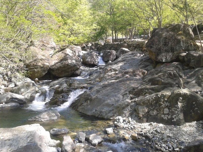 빛 생명 숲 사지목 시설 사진 4