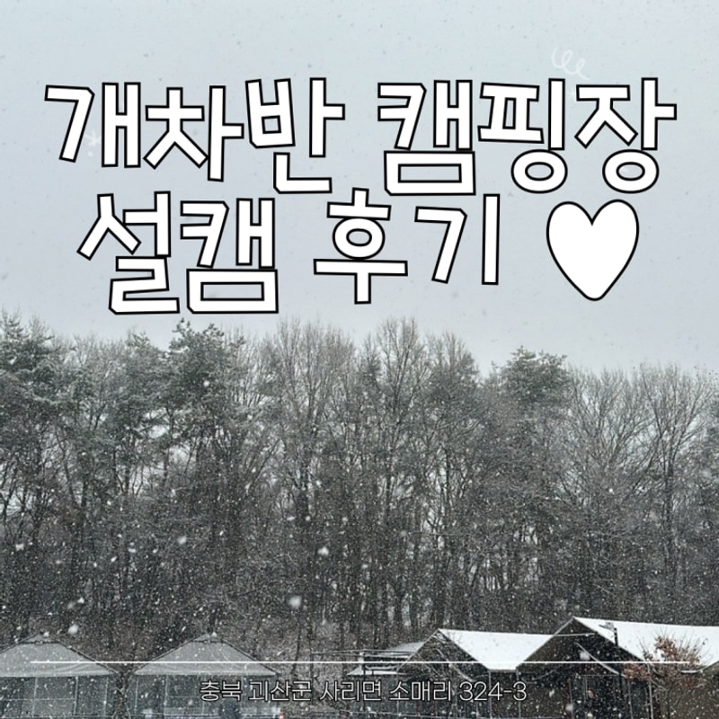 [충북 괴산]애견동반 캠핑장 '개차반 캠핑장' 설캠 내돈내산