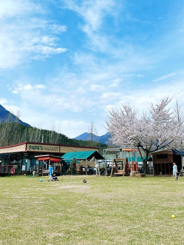 대구 근교 아이와 청도 여행 ☆ 청도 아빠의 캠프 1박 2일 즐기기