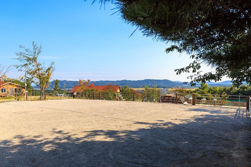 비손관광농원 야영장 시설 사진 3