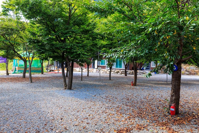 청도 사계절 캠핑장 시설 사진 7