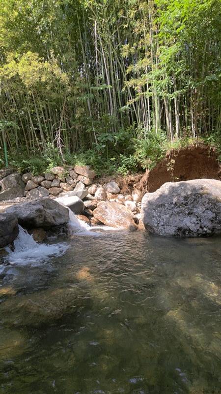 바로 앞에 계곡이 있는 하동 별곰캠핑힐