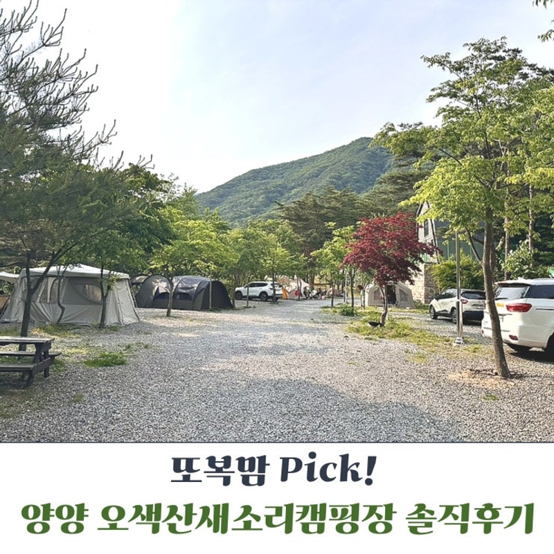 강원도 양양 오색산새소리캠핑장 가족 나들이 후기 | 자연 힐링...