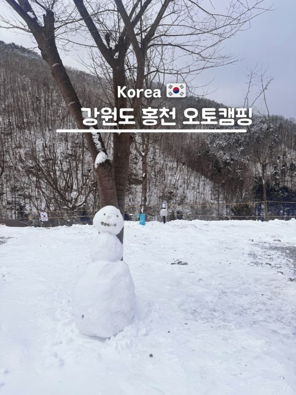 강원도 홍천 애견동반 오토캠핑장 오도치 추천 후기