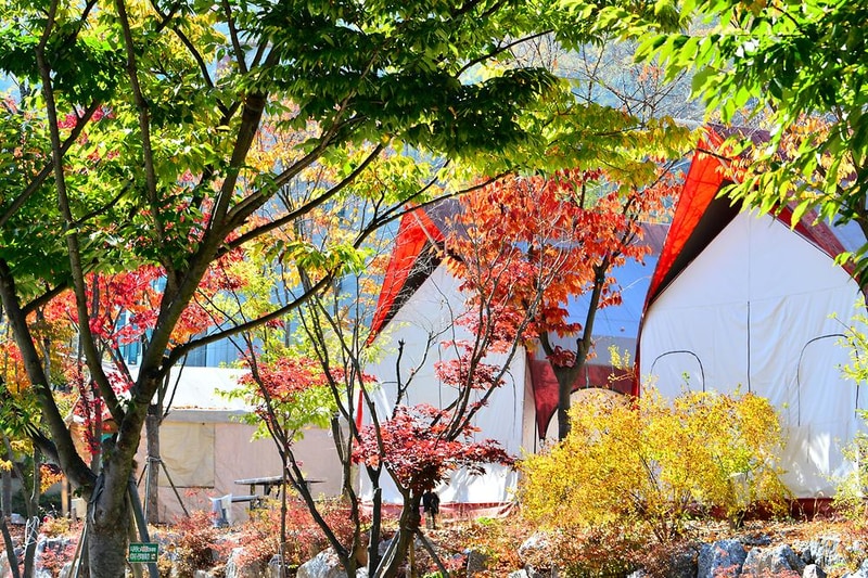 힐링가평오토캠핑장 시설 사진 6