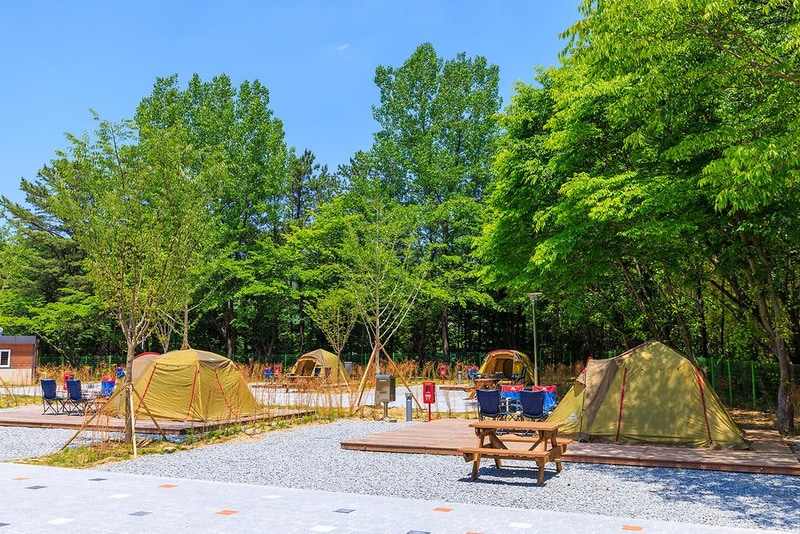 경상북도교육청김천오토캠핑장 시설 사진 6