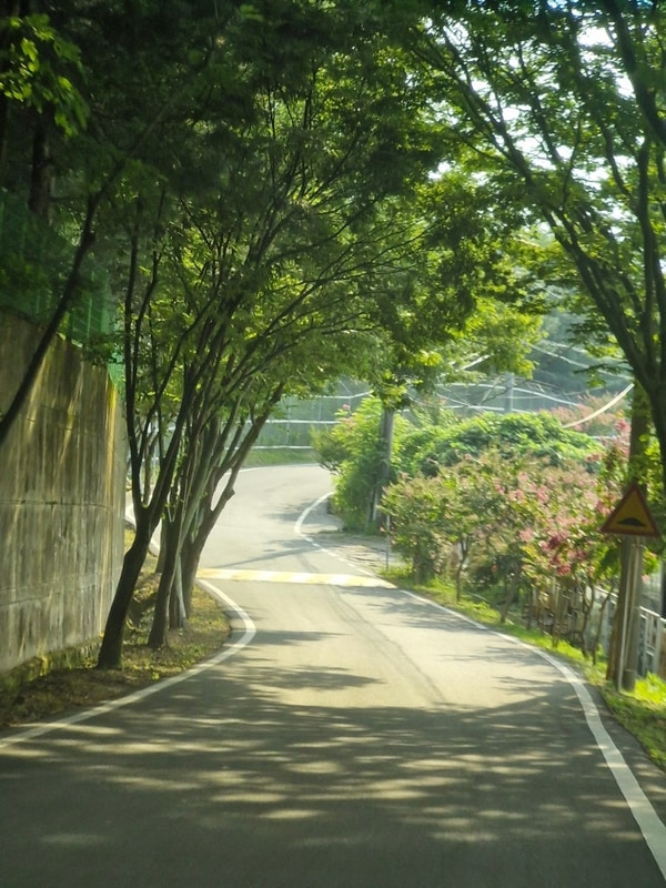 7살아이와 칠곡 송정자연휴양림에서 물놀이 & 3야영장 후기