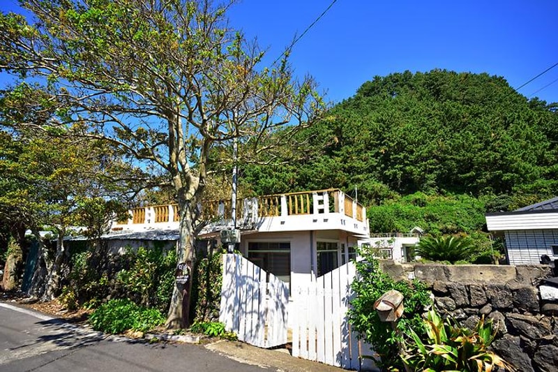 오름집 대표 사진