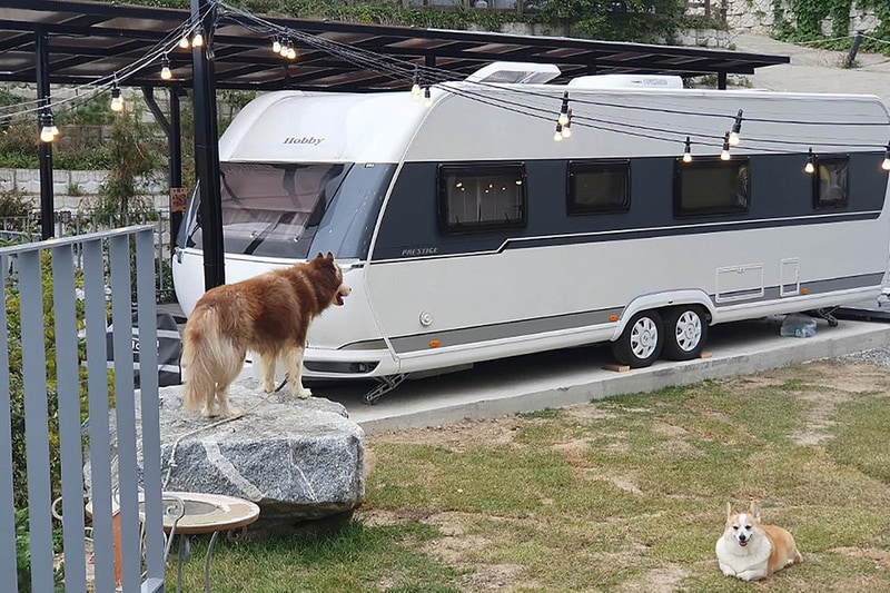 호수위의하루 시설 사진 2