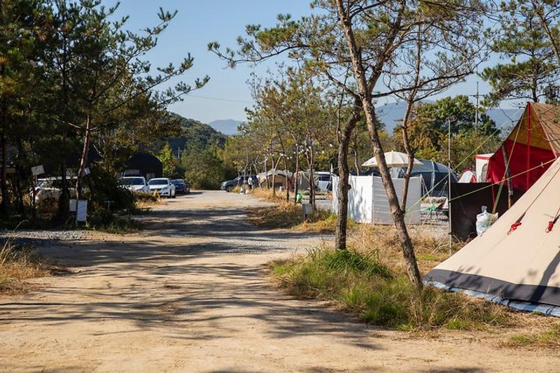 행운야영장 대표 사진