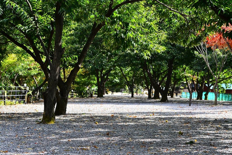 하늘땅별땅 캠핑장 시설 사진 2