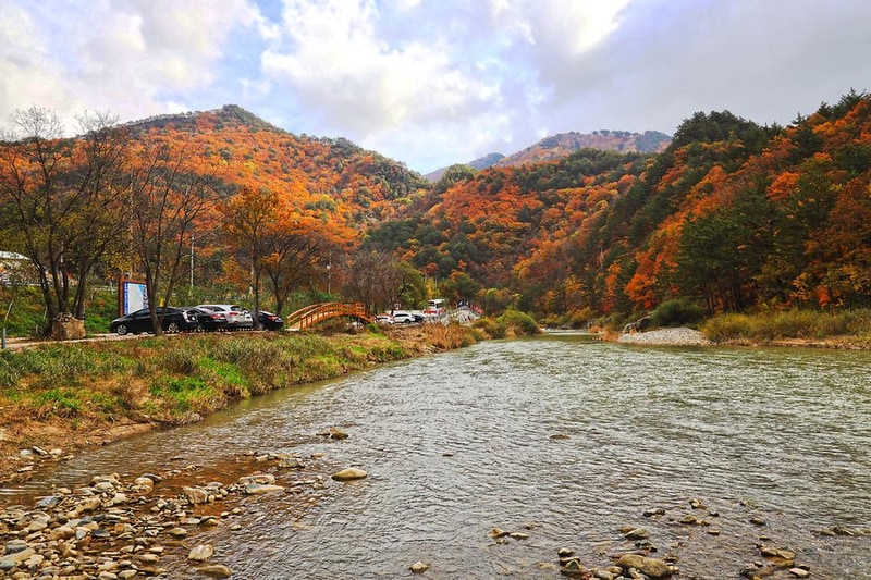 강릉 노추산 힐링캠프 시설 사진 11