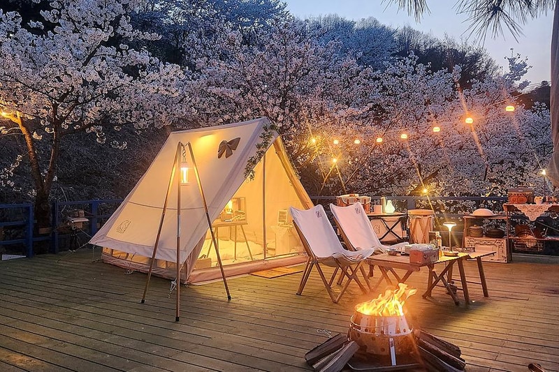 충주호더쉼캠핑장 시설 사진 1