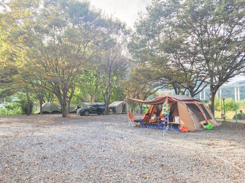 밀양 캠핑장 장박 가능한 VIP 오토캠핑장 후기