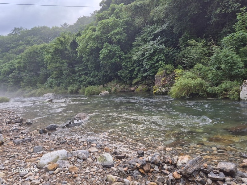 [평창] 북극곰 캠핑장 다녀오다..