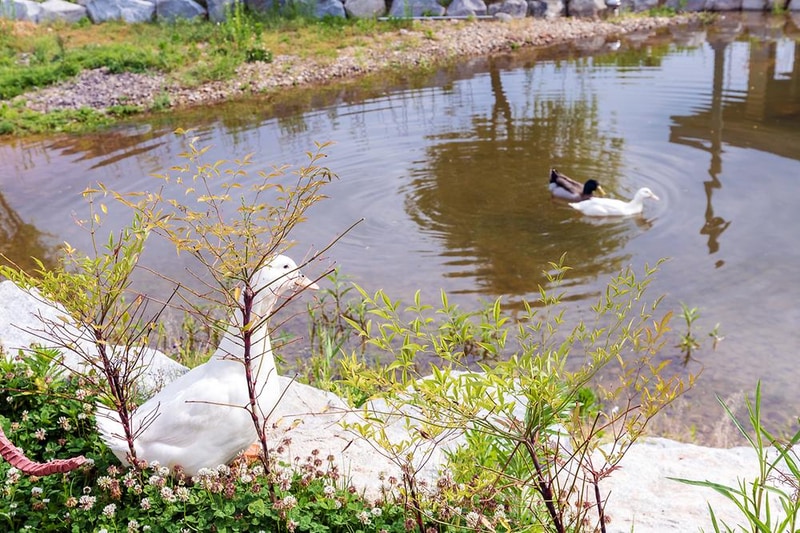 위천수변 테마파크 시설 사진 26