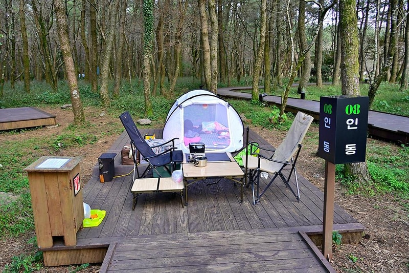 붉은오름 자연휴양림 숲속 야영장 시설 사진 7