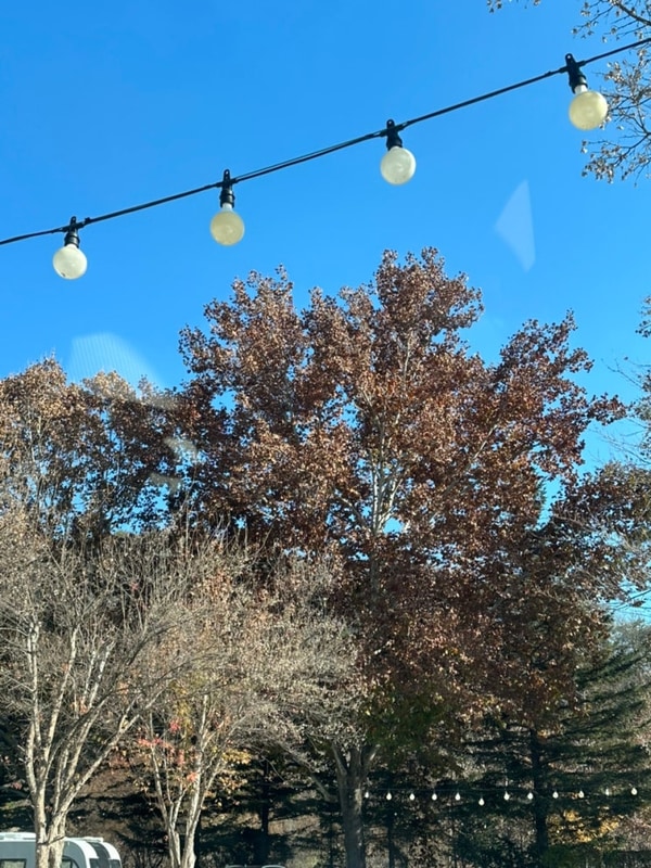 [캠핑️] 원주 마루노리 캠핑장/ 마루노리 캠핑장