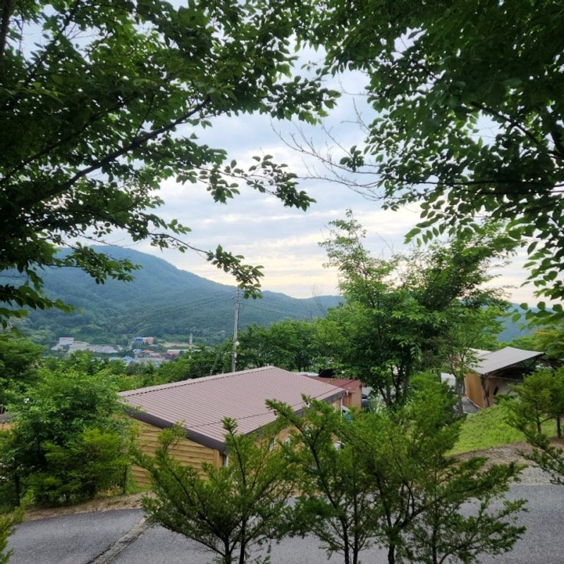 7월5일 -포천캠핑플래닛