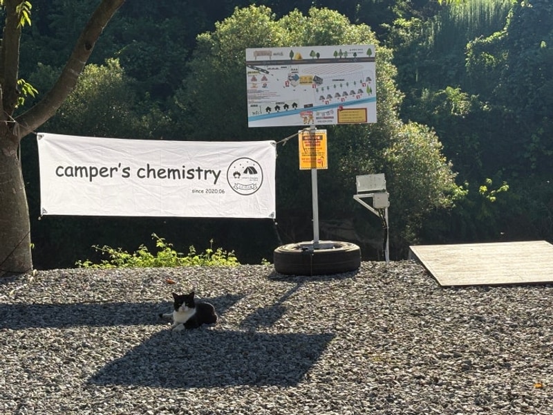 [캠케미 2025 여름정모] 괴산 숲캠핑장 - DOD 도플갱어 키노코...