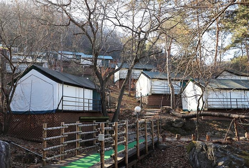 춘천숲자연휴양림엔글램핑 대표 사진