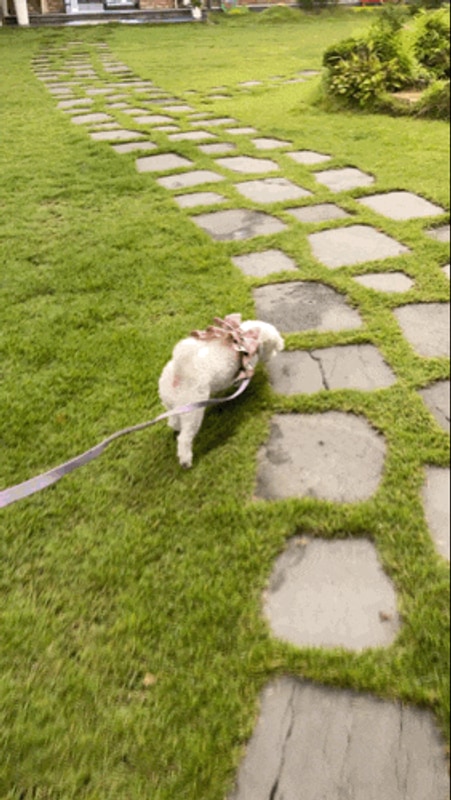 김해당일글램핑바베큐, 캠핑느낌 낭낭한 휴파티 김해점 찐후기