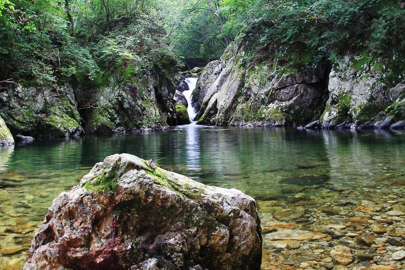 구룡자동차야영장(치악산국립공원) 시설 사진 14