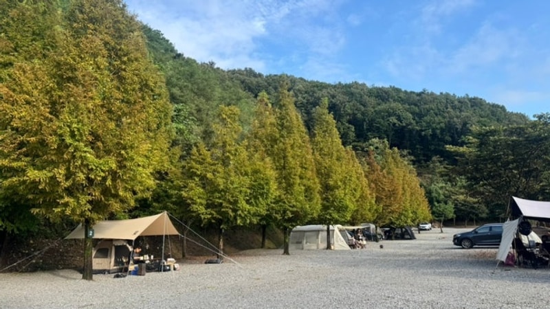 ️ 캠핑로그 | 진천 힐사이드 캠핑장 (with )
