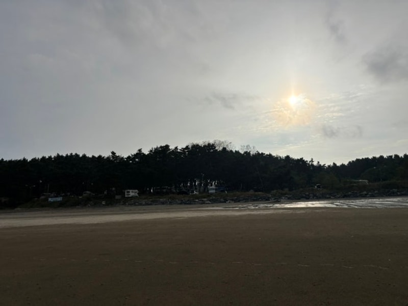 [충남 서천 캠핑장] 춘장대 솔내음야영장 / 선착순 자리선정...