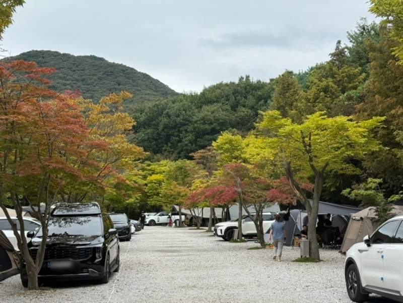 양주송천캠핑장 파쇄석 차박 내돈내산 후기