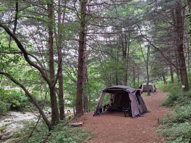 (포천캠핑) 각흘계곡캠핑장 노지(잣나무) 사이트 1박 후기, 짐...