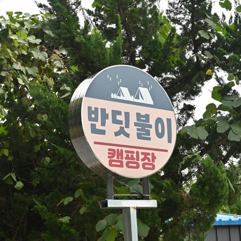 #경주오토캠핑장 경주수영장캠핑장 반딧불이 캠핑장