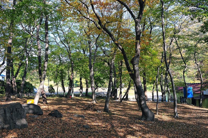 숲속가든 캠핑장 시설 사진 2