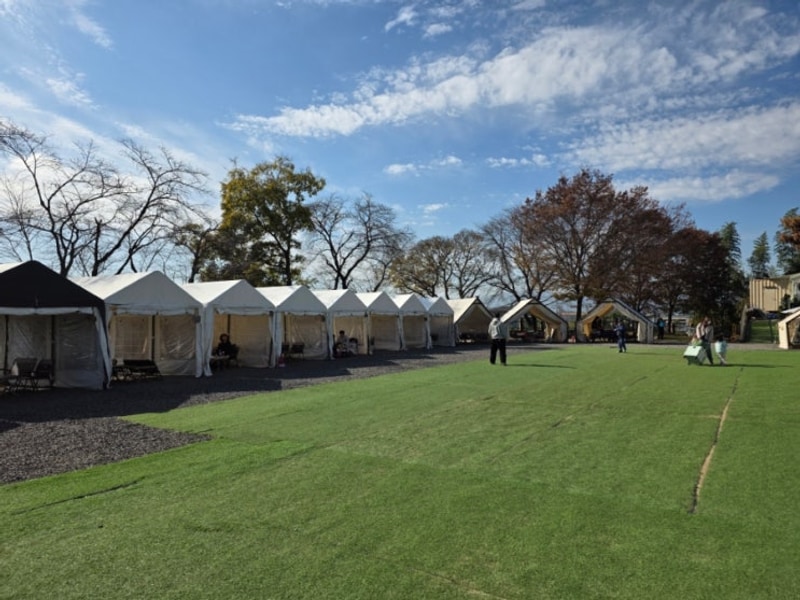크리스마스 캠프닉 아이와 함께하기 좋은 경남 함안강주학교캠프
